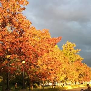 Meet your Posher, Kris